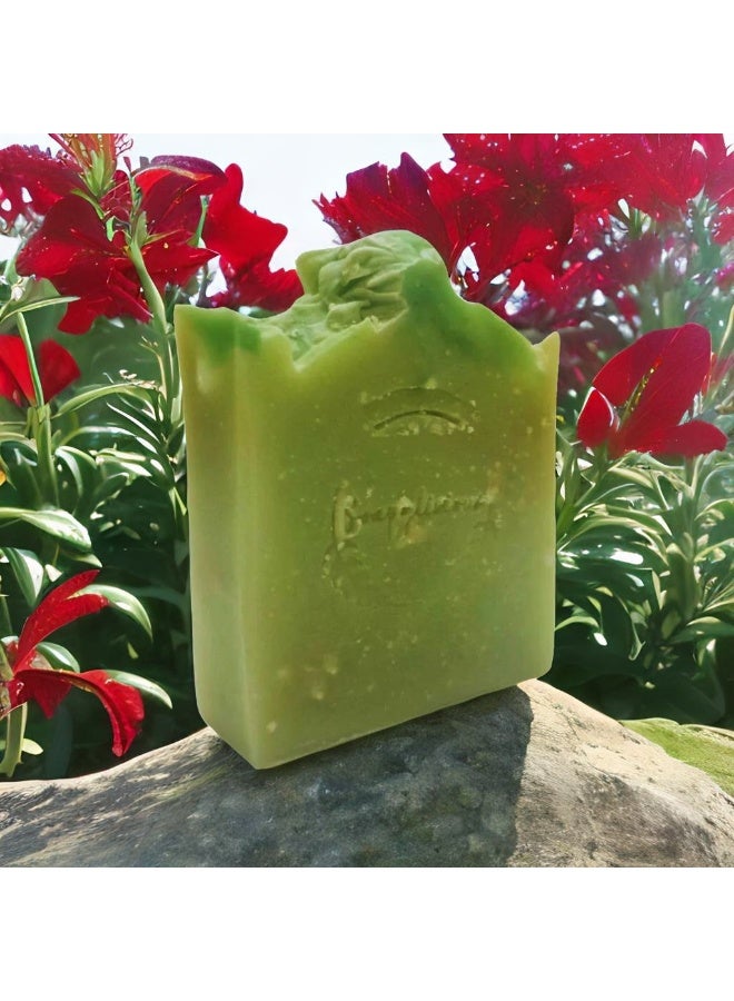 Soapylicious Handmade Cold Process Aloe Vera Soap Bar – Natural & Organic with Shea Butter – Soothing, Hydrating & Vegan – For Men & Women - Image 3