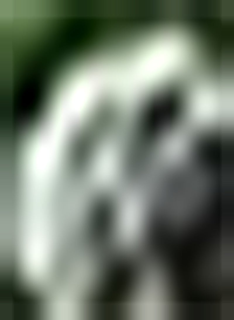 GGOOT 10 weiße Allium Zwiebeln mehrjährige Blumenzwiebeln Zum Pflanzen von aufrechtem Wachstum bringen Farbe in Ihren Garten hoher Zierwert - Image 4