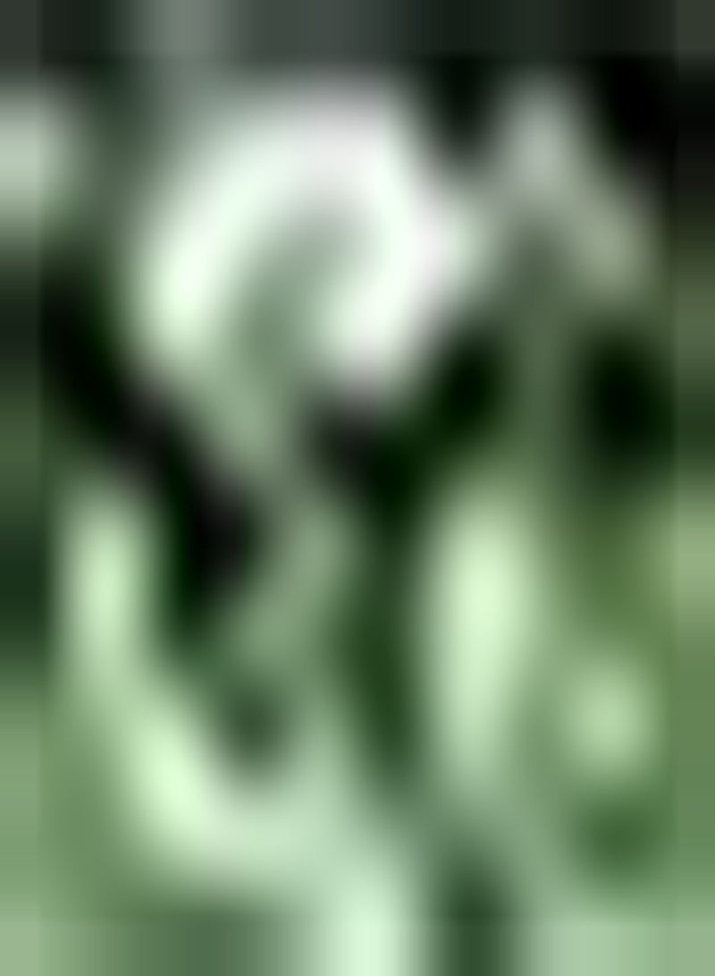 GGOOT 10 weiße Allium Zwiebeln mehrjährige Blumenzwiebeln Zum Pflanzen von aufrechtem Wachstum bringen Farbe in Ihren Garten hoher Zierwert - Image 2