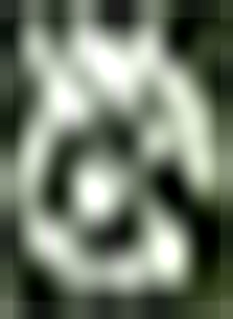 GGOOT 10 weiße Allium Zwiebeln mehrjährige Blumenzwiebeln Zum Pflanzen von aufrechtem Wachstum bringen Farbe in Ihren Garten hoher Zierwert - Image 1