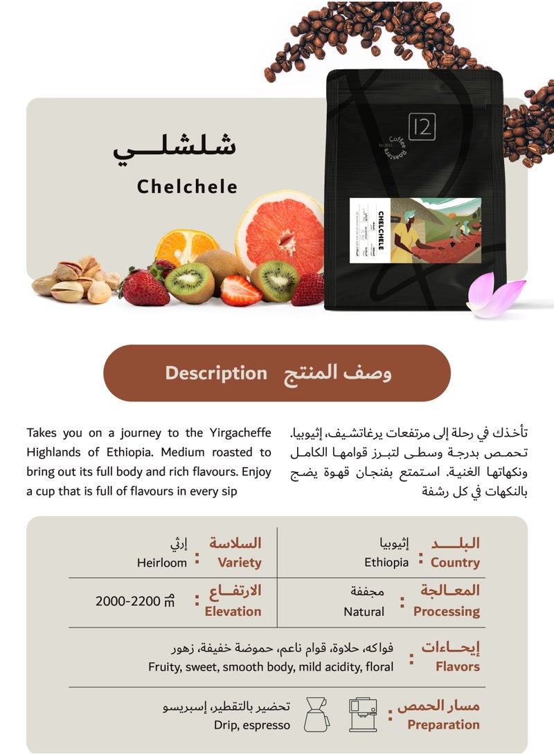 12 كوب ٤ محاصيل قهوة مختصة و فلتر كافيك V60 بوكس القهوة المختصة - Image 2