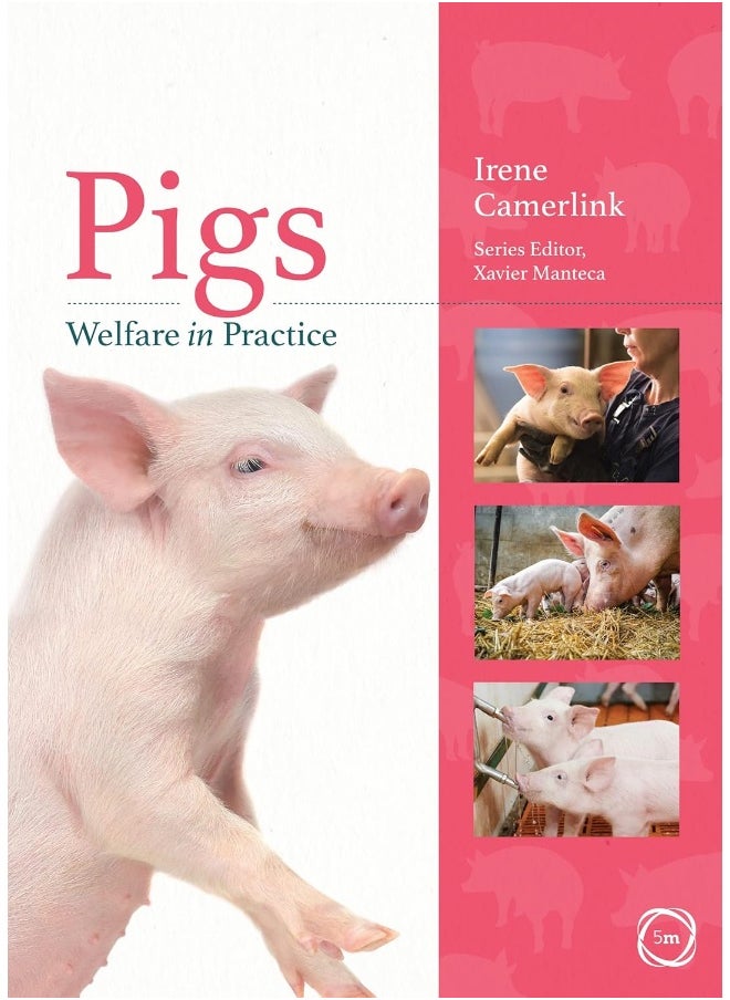 null - Pigs Welfare in Practice - Image 1