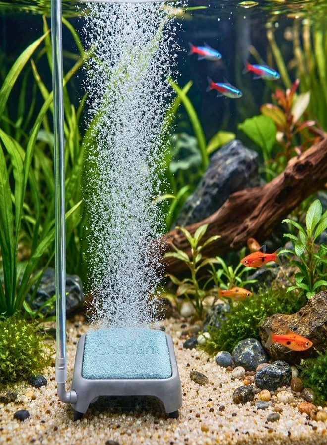 VAYINATO® CQP-006 (6.5 * 6.5 cm) Stainless Steel Aquarium Air Plate & Bubble Diffuser - Durable Rust-Resistant Oxygenation System for Fresh/Saltwater Fish Tanks & Ponds, Decorative - Image 1