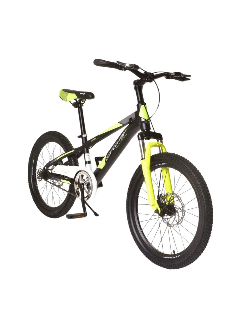 Rally Metallic Bicycle With Disc Brakes Size 20