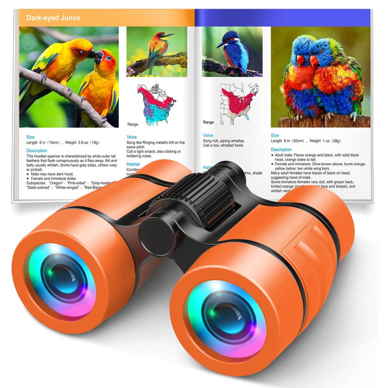 LET'S GO! 3-8 Year Old Boy Girl Toys: Let'S Go! Shockproof Binoculars For Kids Bird Watching 3 4 5 6 7 Year Old Boys Girls Outdoor Travel Toy For Kid Ages 4-7 Toddler Stocking Stuffers - Image 1