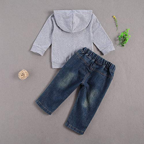 fhutpw Toddler Baby Boy Outfits Hoodie Sweatshirts & Jeans Clothes Set Fall Winter 6 9 12 18 24 Months (C-Gray, 6-12 Months) - Image 3