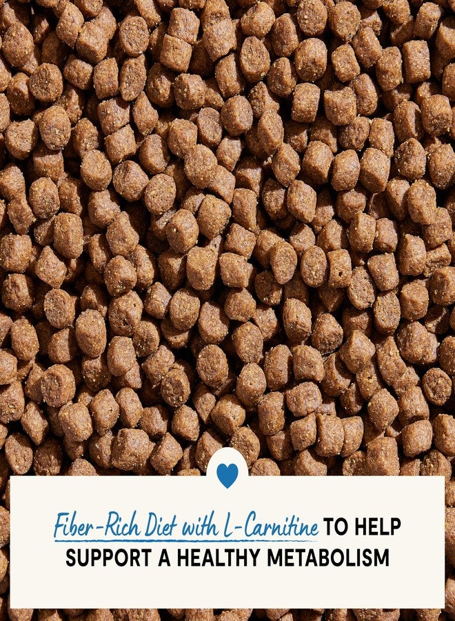 Open Farm أوبن فارم، طعام كلاب صحي الوزن، تركيبة بيطرية غنية بالبروتين وقليلة السعرات الحرارية للتحكم في الوزن، يدعم عملية التمثيل الغذائي والحركة، بنكهة الدجاج والسمك الأبيض، عبوة 4 أرطال - Image 4