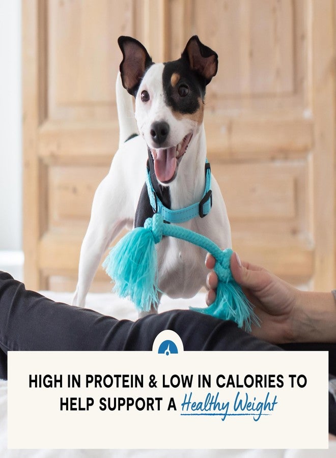 Open Farm أوبن فارم، طعام كلاب صحي الوزن، تركيبة بيطرية غنية بالبروتين وقليلة السعرات الحرارية للتحكم في الوزن، يدعم عملية التمثيل الغذائي والحركة، بنكهة الدجاج والسمك الأبيض، عبوة 4 أرطال - Image 3