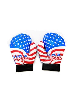 Generic Boxing Gloves Pair 