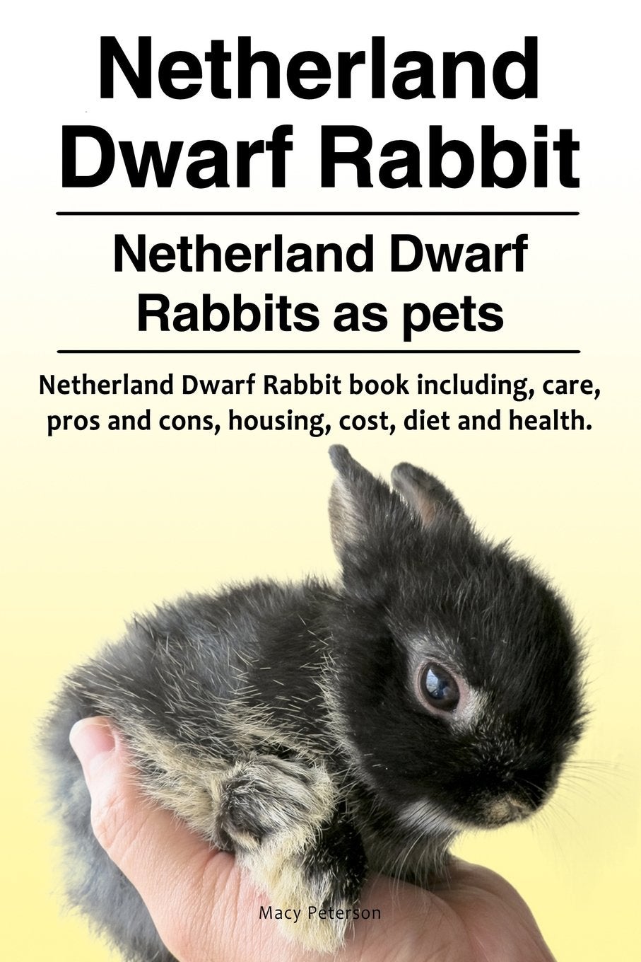 Netherland Dwarf Rabbit. Netherland Dwarf Rabbits as pets. Netherland ...
