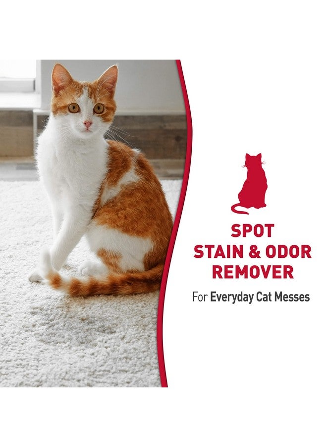 Nature's Miracle Nature’S Miracle Stain And Odor Remover Cat 32 Ounces, Odor Control Formula - Image 2