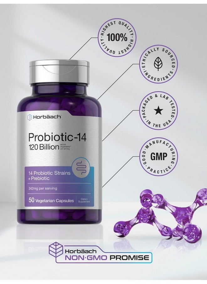Horbaach Horbäach Probiotics 120 Billion CFU | 14 Strains with Prebiotics | for Women & Men | 50 Capsules | Vegetarian, Non-GMO & Gluten Free Supplement  - Image 5