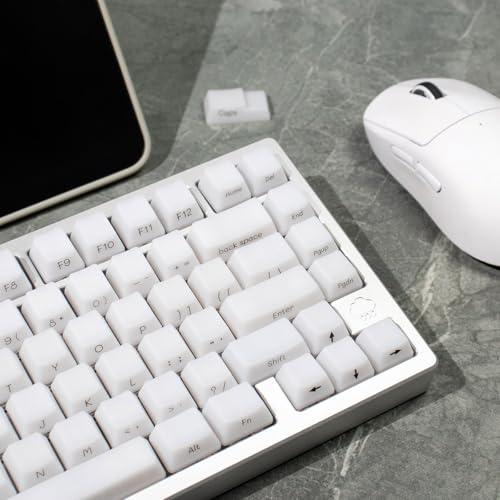 Sumgsn 130 Keys OEM Profile Shine Through White Keycaps Set Translucent Keycaps Compatible with 61/64/87/104/108 Cherry Mx Switches Mechanical Keyboard - Image 4