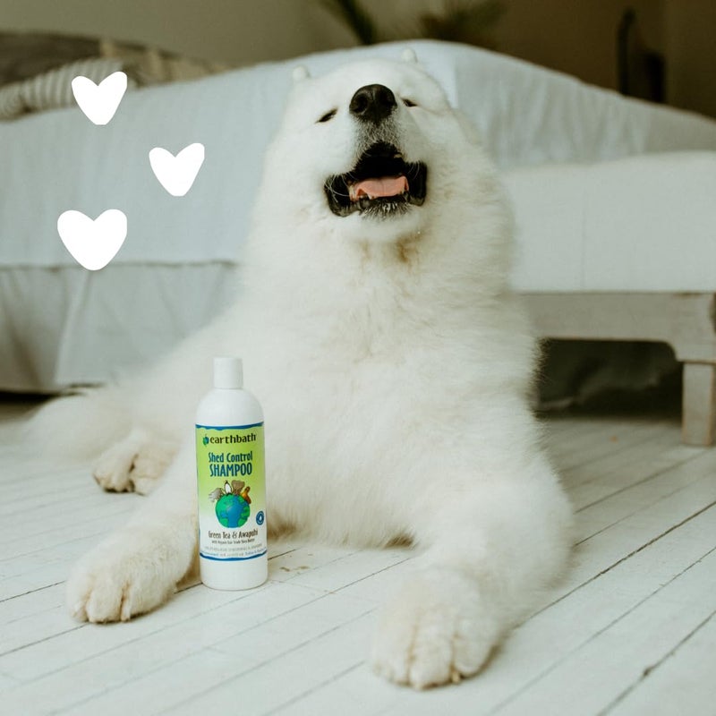 earthbath Shed Control Shampoo - Helps Relieve Shedding & Dander, Gentle & Natural Shampoo for Dogs & Cats, Green Tea & Awapuhi, Pint - 472ml - Image 5