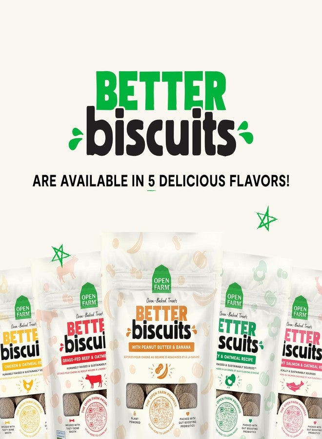 Open Farm بسكويت أوبن فارم بيتر، مكافآت مخبوزة للكلاب مع البروبيوتيك، وصفة سمك السلمون البري والشوفان، عبوة 8 أونصة - Image 5