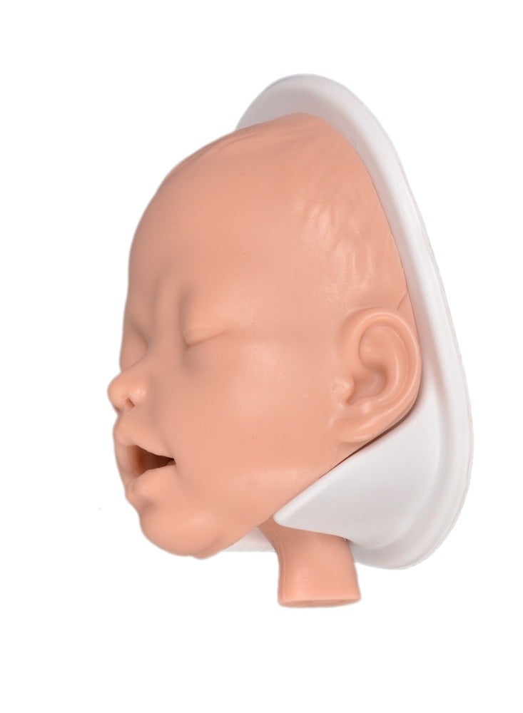 Medarchitect Simple infant intubation model for first aid training TCCC/EMT/PHEC Course Class Demonstration - Image 3
