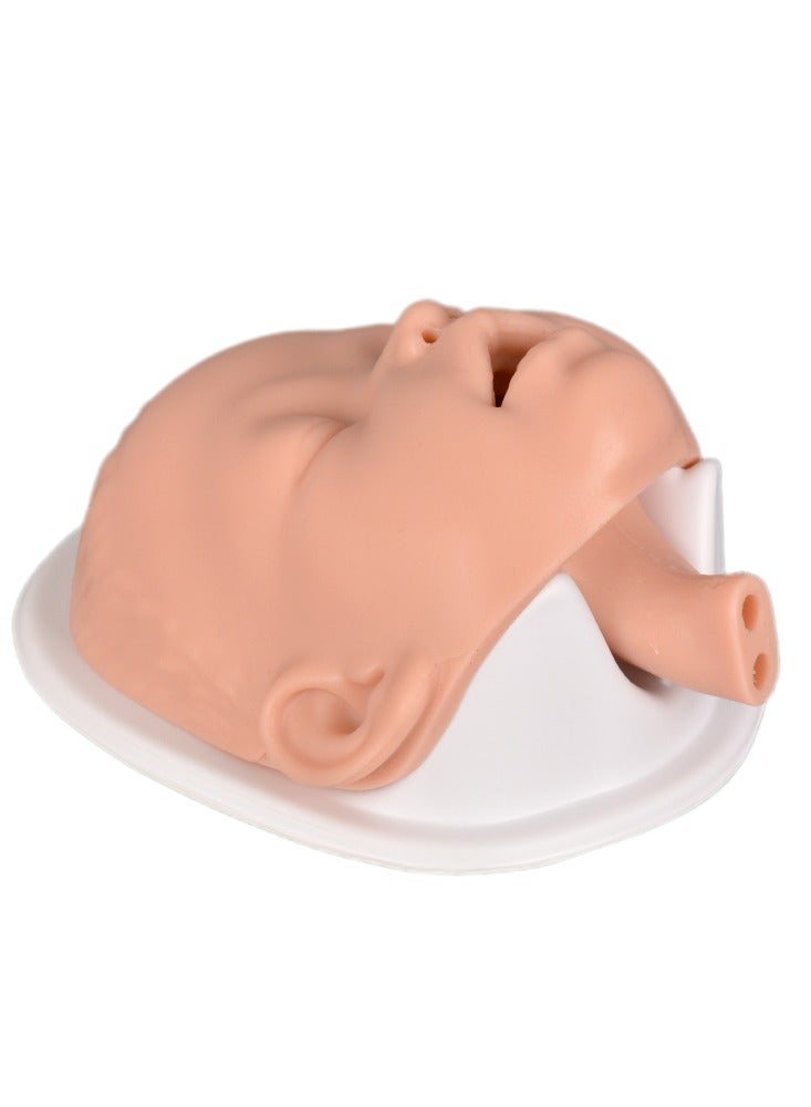 Medarchitect Simple infant intubation model for first aid training TCCC/EMT/PHEC Course Class Demonstration - Image 4