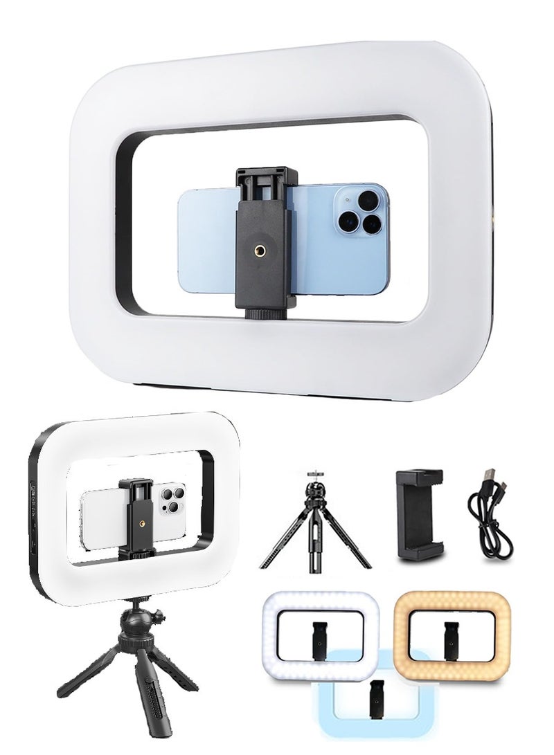 Smartphone Video Stand with Light, Handheld Ring Selfie Light, Fill Light Kit, 8000mAh Battery and Power Bank, LED Mobile Video Stabilizer for Camera, Smartphone, YouTube, TikTok Video Recording, Makeup  - Image 1