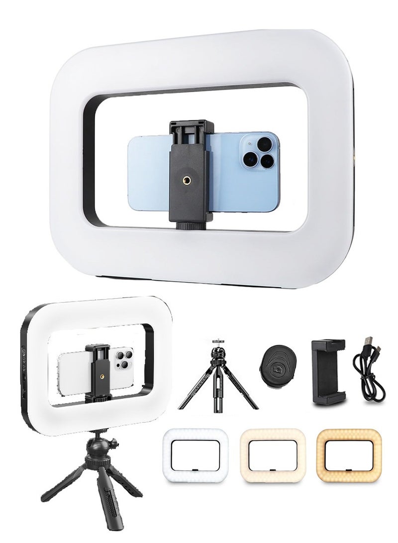 Smartphone Video Stand with Light, Handheld Ring Selfie Light, Fill Light Kit, 8000mAh Battery and Power Bank, LED Mobile Video Stabilizer for Camera, Smartphone, YouTube, TikTok Video Recording, Makeup - Image 1