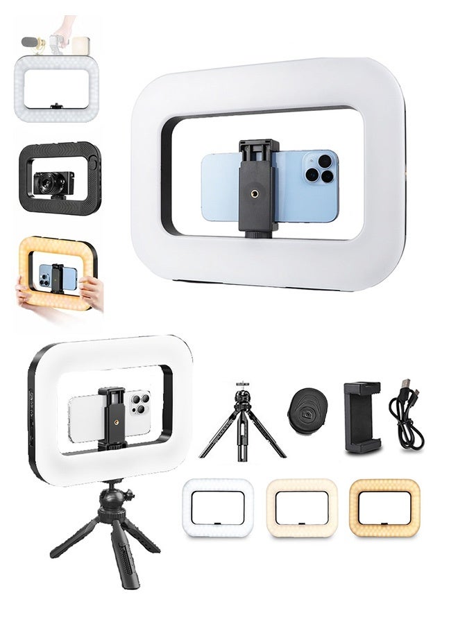 حامل فيديو للهواتف الذكية مع إضاءة وجهاز تحكم عن بعد بتقنية البلوتوث، طقم إضاءة سيلفي حلقية محمول باليد، بنك طاقة ببطارية 8000 مللي أمبير، مثبت فيديو LED للهواتف الذكية والكاميرات، تسجيل فيديوهات يوتيوب وتيك توك، مكياج - Image 1