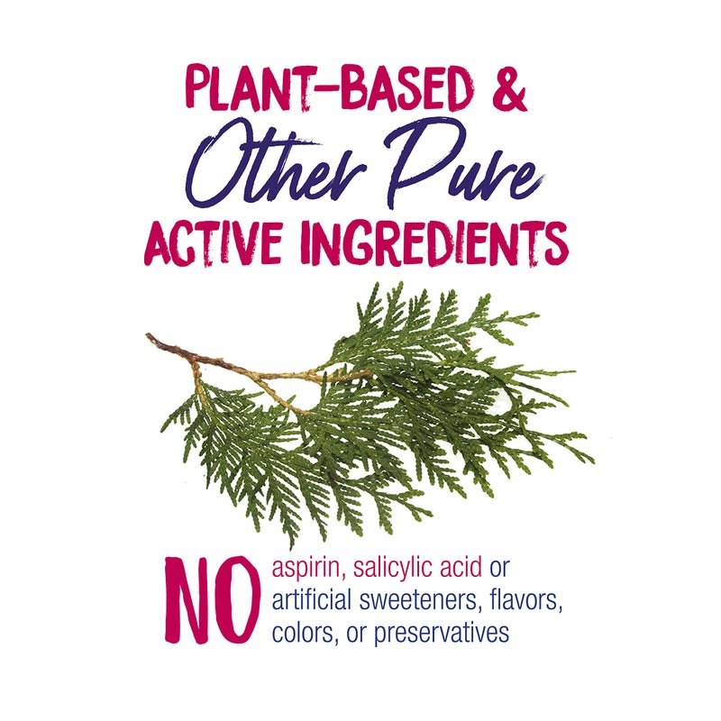 Boiron بوارون وارت كالم لإزالة الثآليل بدون ألم على اليدين والركبتين والقدمين والثآليل الأخرى للجميع من البالغين والأطفال من عمر 2 سنة فما فوق - 60 حبة - Image 4