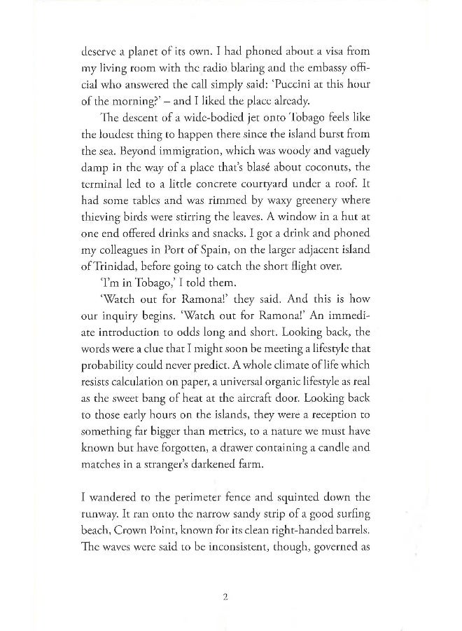 ثعبان كبير ثعبان صغير - Image 5