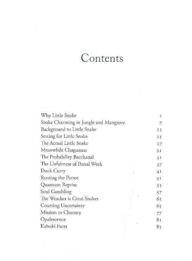 ثعبان كبير ثعبان صغير - Image 3