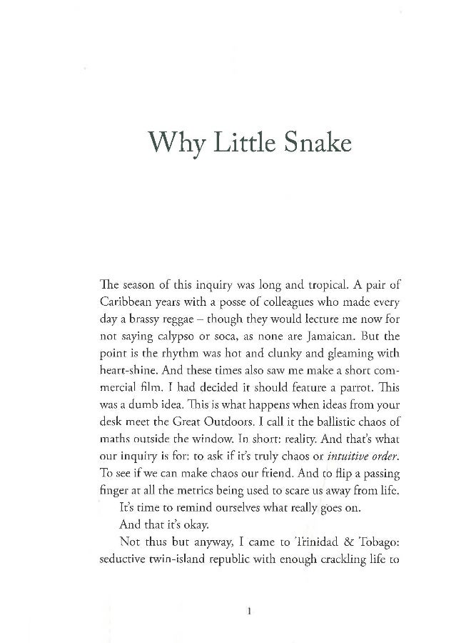 ثعبان كبير ثعبان صغير - Image 4