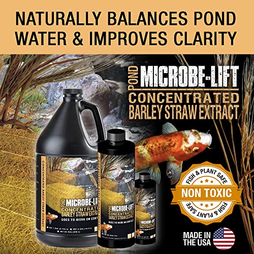 Microbe Lift MICROBE-LIFT MLCBSE1L Concentrated Barley Straw Extract Conditioner for Ponds and Outdoor Water Garden, Safe for Live Koi Fish, Plants, and Decorations, 32 Ounces - Image 2