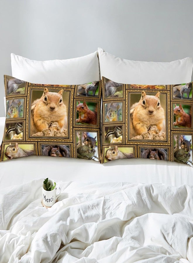 Feelyou Cute Squirrel Bedding Set - Queen Size Comforter Set for Kids & Adults - Wildlife Room Decor 3Pcs with 2 Pillow Cases - Image 4