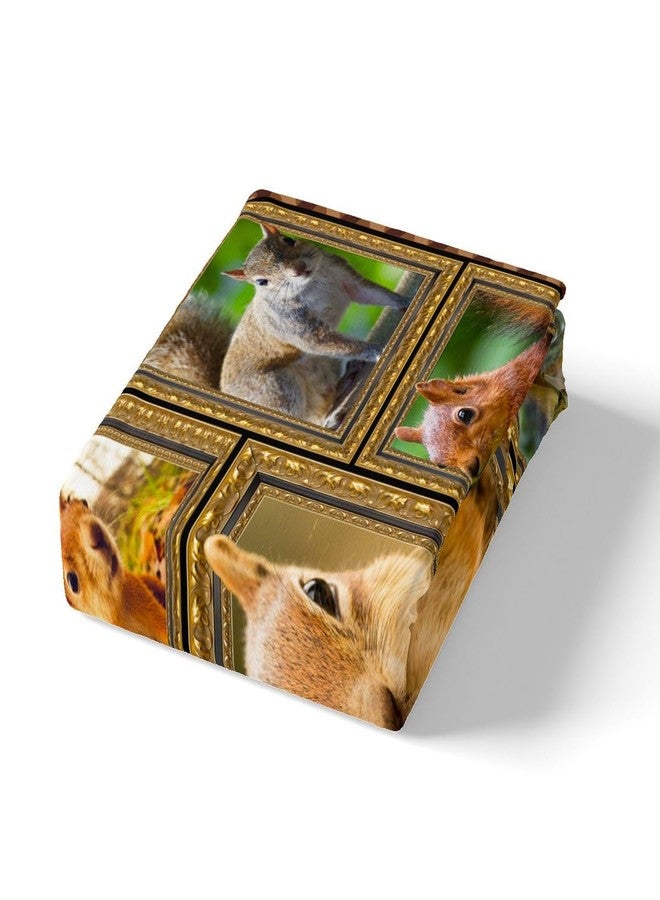 Feelyou Cute Squirrel Bedding Set - Queen Size Comforter Set for Kids & Adults - Wildlife Room Decor 3Pcs with 2 Pillow Cases - Image 5