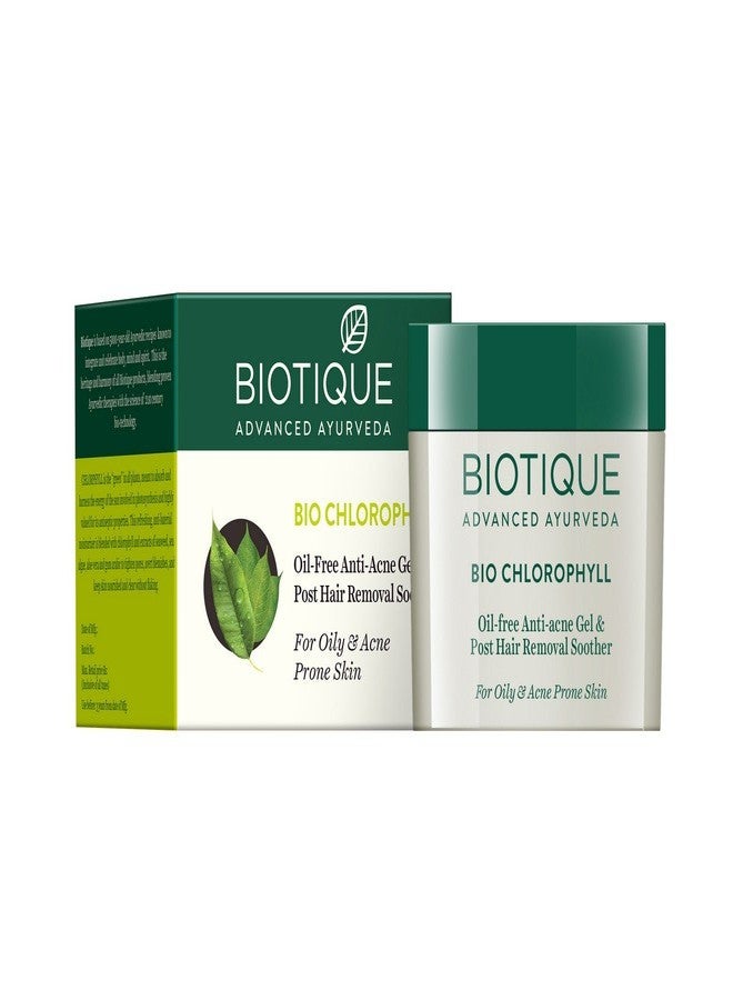 Biotique Bio Chlorophyll Oil Free Anti-Acne Gel & Post Hair Removal Soother For Oily & Acne Prone Skin, 50G And Biotique Bio Dandelion Visibly Ageless Serum, 40 ml - Image 2