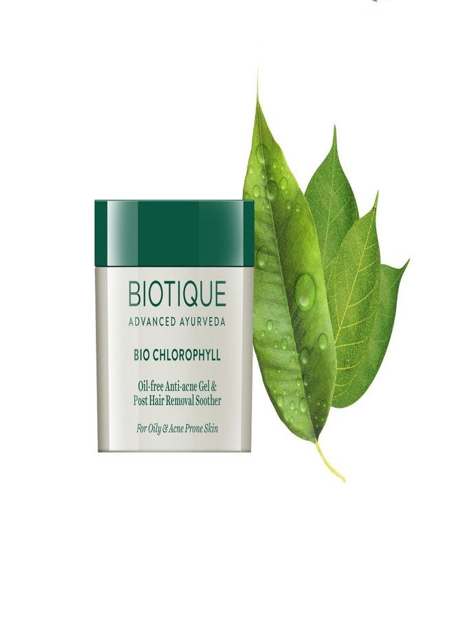 Biotique Bio Chlorophyll Oil Free Anti-Acne Gel & Post Hair Removal Soother For Oily & Acne Prone Skin, 50G And Biotique Bio Dandelion Visibly Ageless Serum, 40 ml - Image 4