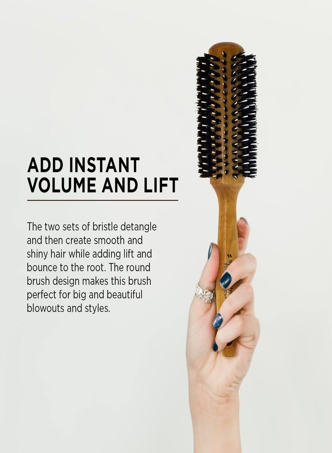 Spornette Porcupine 2.75 Inch Nylon and Boar Brush - Image 5