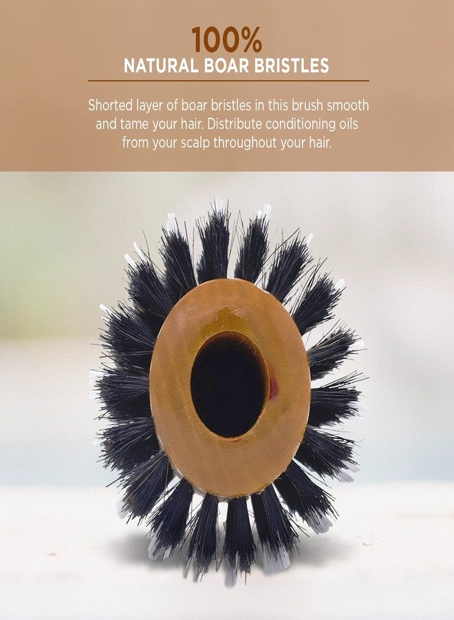 Spornette Porcupine 2.75 Inch Nylon and Boar Brush - Image 3