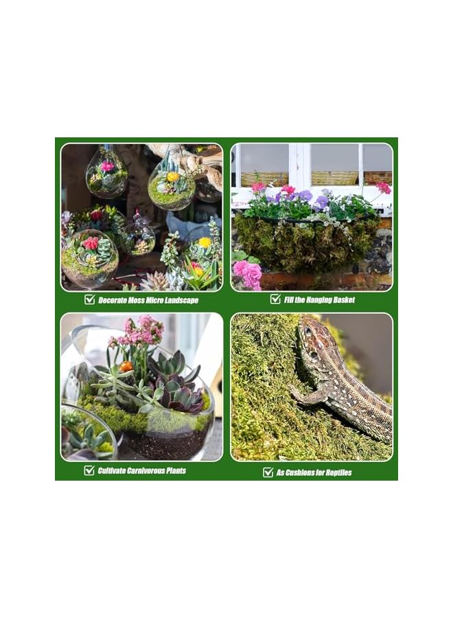 The Bros Dried Forest Sphagnum Moss for Plants & Reptiles – Natural Potting Moss for Orchids, Carnivorous Plants, Succulents, Garden Flowers, Terrariums & Reptile Bedding - Image 2