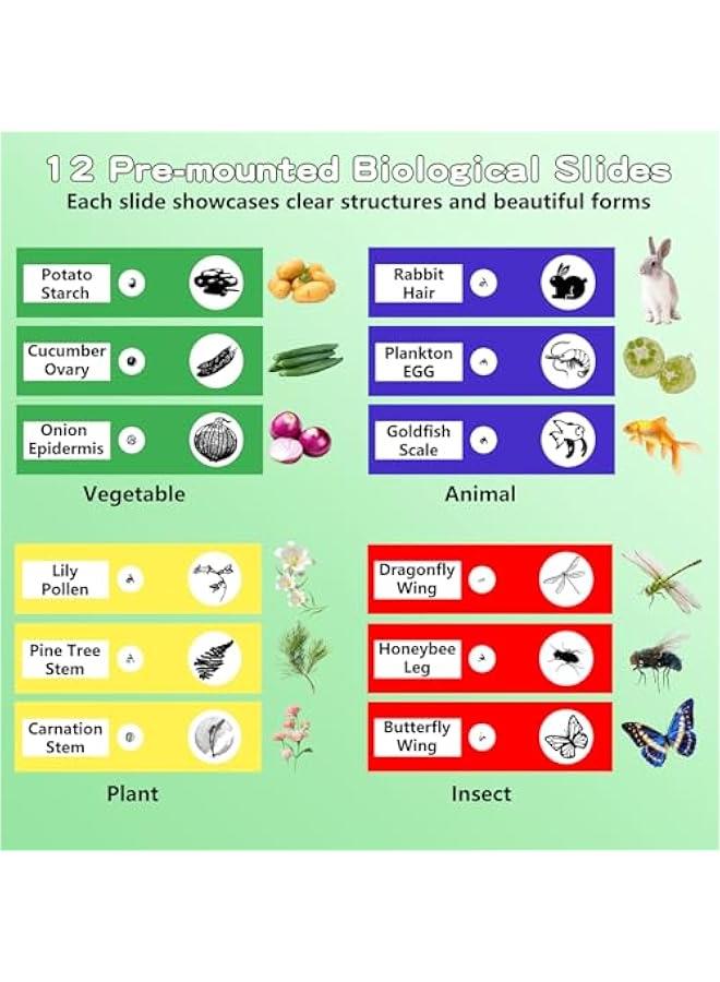 Microscope for Kids with 12 Slides, Digital Handheld Kids Microscope, Mini Portable Pocket Miniscope Science Toys Gifts for 3+ 4 5 6 7 8 9 10 11 12 Year Old Boys Girls, Orange - Image 2