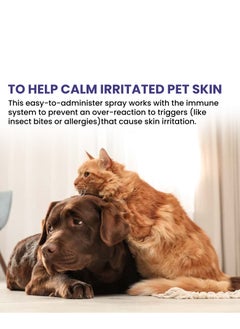 Yegbong pet anti-itch spray removes mites, removes mites, repels insects and relieves itching, cleans and soothes skin, fur, cats and dogs. - pzsku/Z4D2CCC029E79178F1C2DZ/45/_/1727691136/666d0920-283d-4293-9560-5b3429d32f45