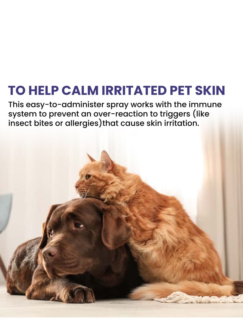 YEGBONG - Yegbong pet anti-itch spray removes mites, removes mites, repels insects and relieves itching, cleans and soothes skin, fur, cats and dogs. - Image 1