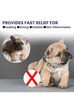 Yegbong pet anti-itch spray removes mites, removes mites, repels insects and relieves itching, cleans and soothes skin, fur, cats and dogs. - pzsku/Z4D2CCC029E79178F1C2DZ/45/_/1727691146/01ac9ea1-a3ac-47bd-99a1-61274db0012d