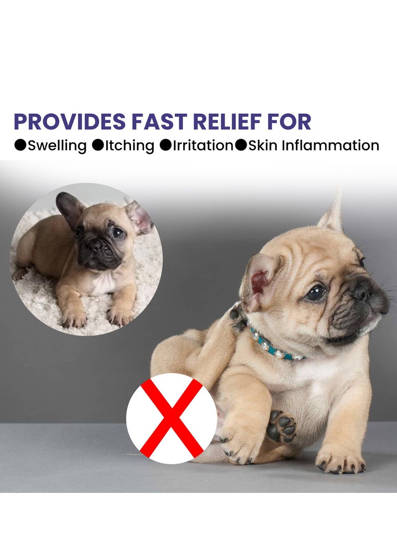 YEGBONG - Yegbong pet anti-itch spray removes mites, removes mites, repels insects and relieves itching, cleans and soothes skin, fur, cats and dogs. - Image 1