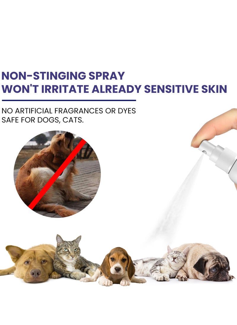 YEGBONG - Yegbong pet anti-itch spray removes mites, removes mites, repels insects and relieves itching, cleans and soothes skin, fur, cats and dogs. - Image 1