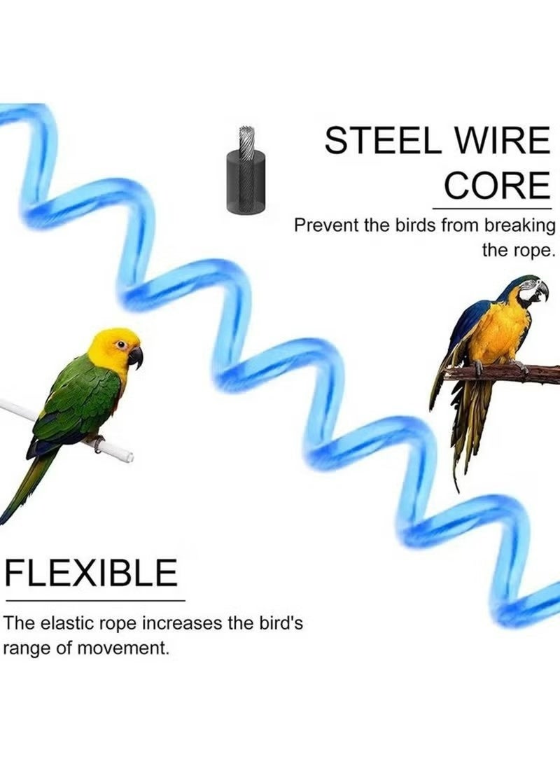3 Meters Parrot Flying Rope, with 3 Sizes Foot Rings, Parrot Foot Chain Flying Training Outdoor, Anti-Bite Elastic String Training Harness, Bird Training Rope Bird For Pet, Blue - Image 4