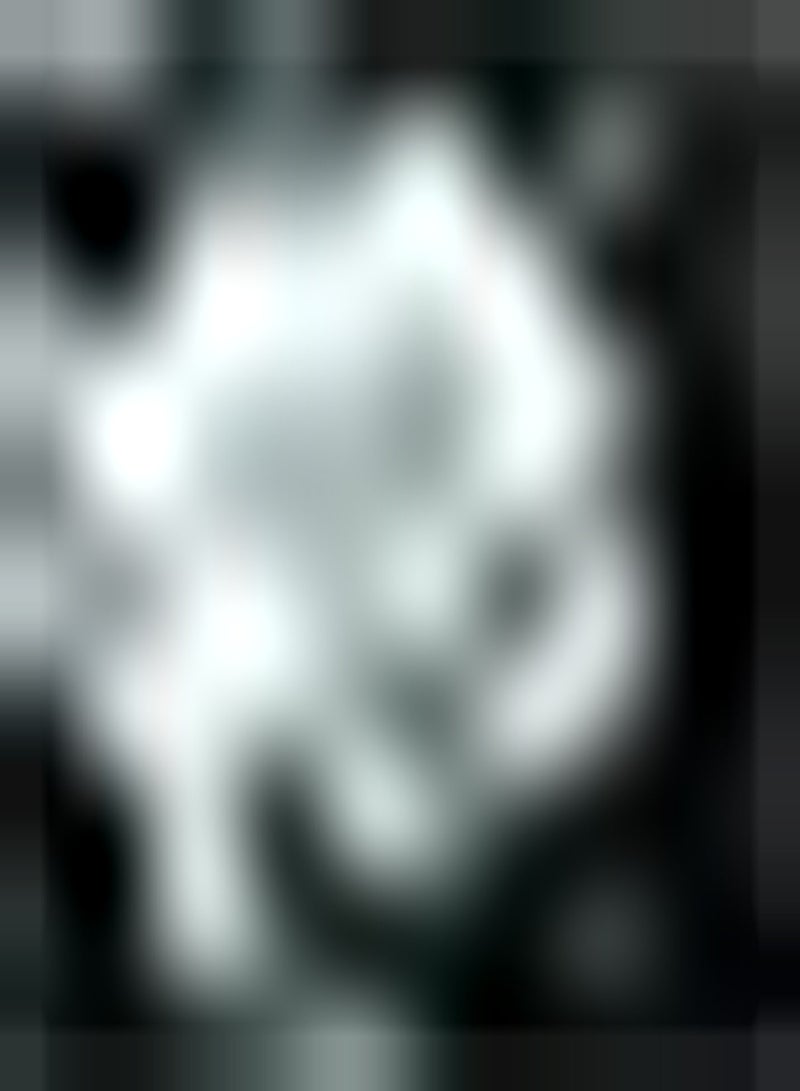 GGOOT 200pcs Chrysanthemum seeds Suitable for Gardeners Planting Loved by Gardeners Easy to Plant Decorate Flower Beds and Borders Window Boxes - Image 1