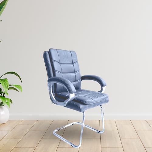 Binani Carbon Steel,Leather Executive Office Visitor Chair|Ergonomic Relax Chair for Study,Home,Reception| Comfortable Cushioned Seat Back,Double Pipe Frame with Arm Rest Guest Seating (1,Grey,Star) - Image 1