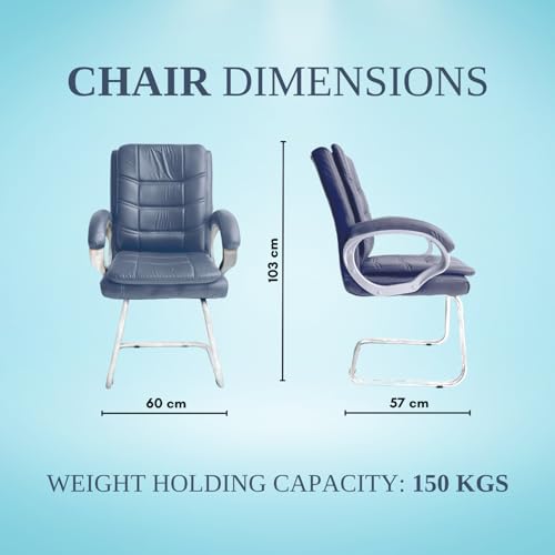 Binani Carbon Steel,Leather Executive Office Visitor Chair|Ergonomic Relax Chair for Study,Home,Reception| Comfortable Cushioned Seat Back,Double Pipe Frame with Arm Rest Guest Seating (1,Grey,Star) - Image 2
