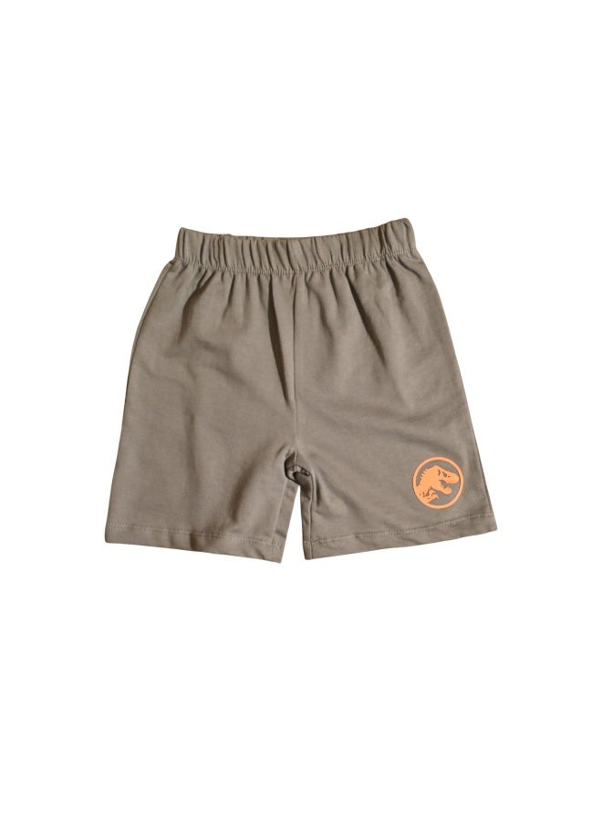 JURASSIC PARK BOYS T-SHIRT & SHORT SET‬ - Image 4