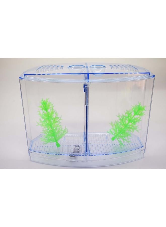 نشاط جديد صندوق بيتا صندوق بيتا صغير معزول صندوق مزدوج - Image 4