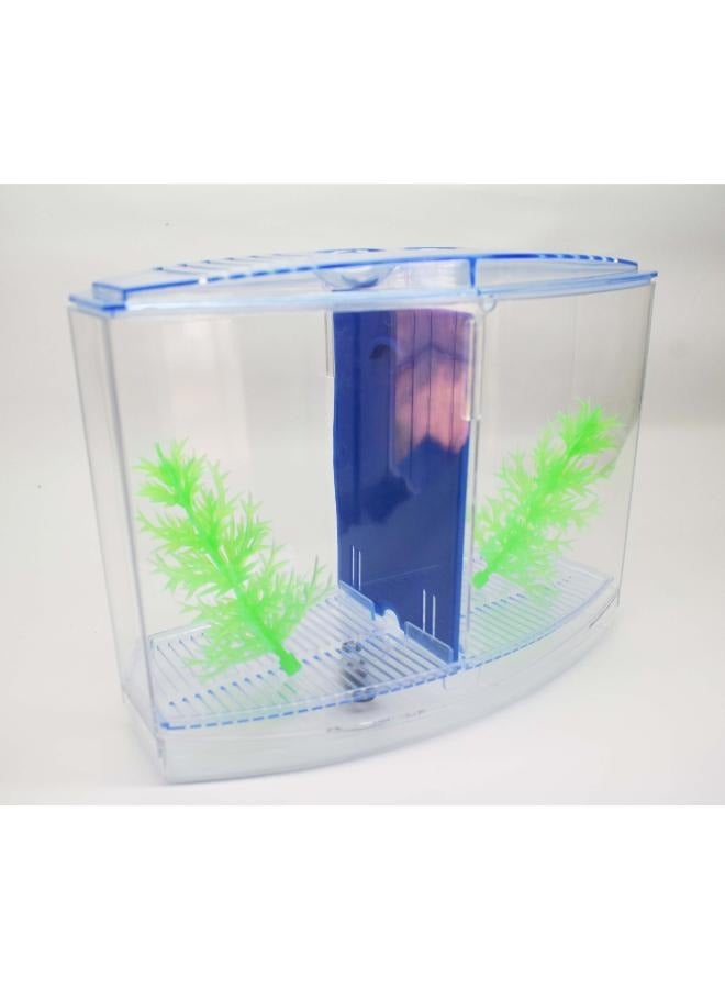 نشاط جديد صندوق بيتا صندوق بيتا صغير معزول صندوق مزدوج - Image 5