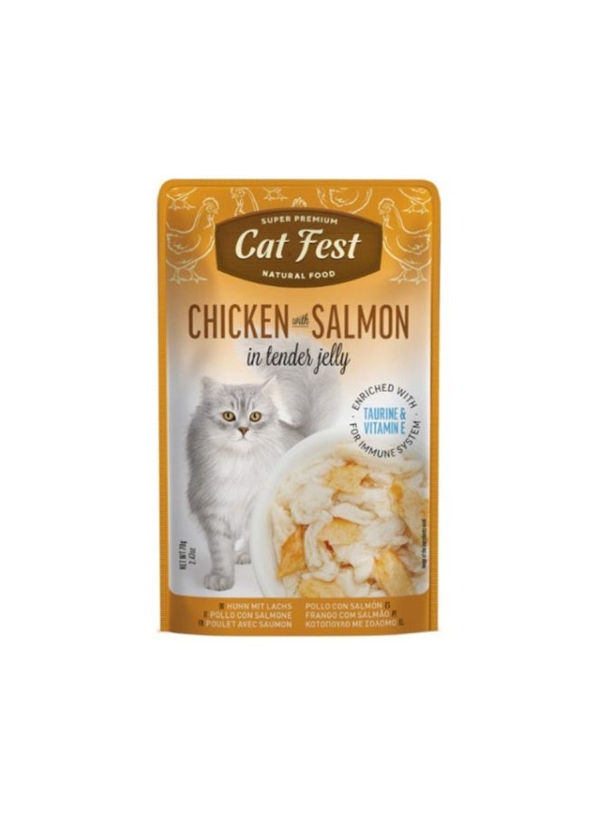 كات فيست كيس طعام بالدجاج والسلمون في جيلي للقطط من كات فيست، 70 غرام